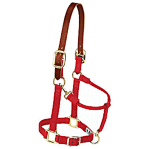 Breakaway Halter