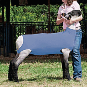Lamb Sweater
