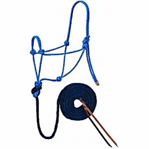 Rope Halter w/Lead