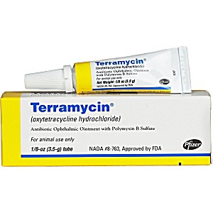 Terramycin Eye Ointment