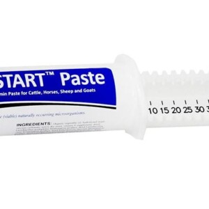 Biostart Paste 80ML