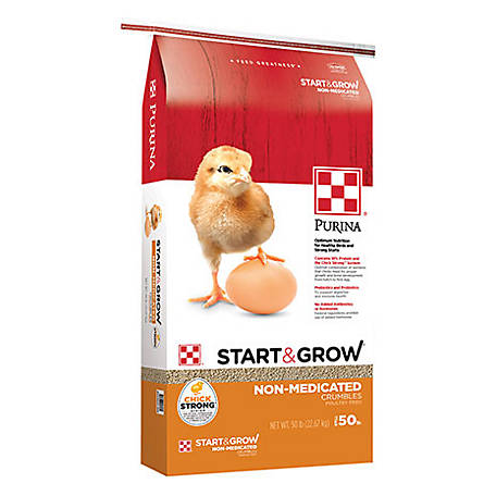 POULTRY FEED