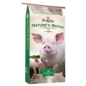 PIG FEED