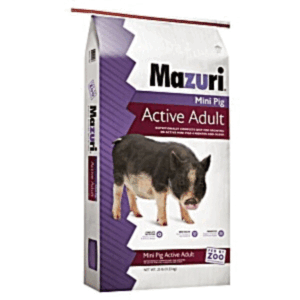 MAZ MINI PIG ADULT 25#