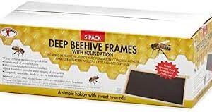 Deep Foundation 5pk
