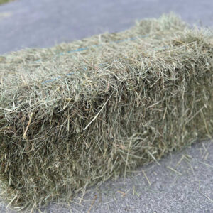 Brome Square Bale