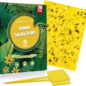 Yellow Sticky Trap 20PK