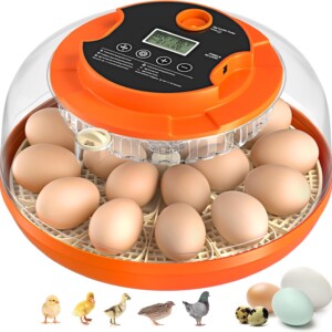 18 Egg Incubator