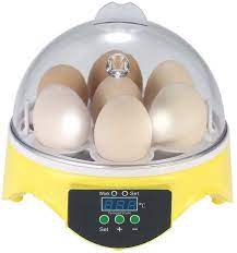 7 Egg Incubator