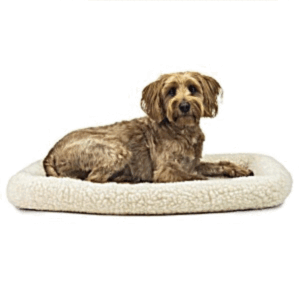 COATS, BEDS, & KENNELS