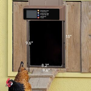 Chicken Coop Door Opener