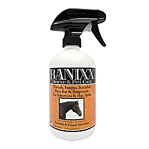 Banixx Spray 16oz