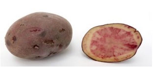 Red Delta or Huckleberry Potato