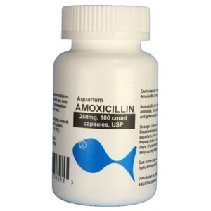 Aquarium Amoxicillin 250mg. 100CT.