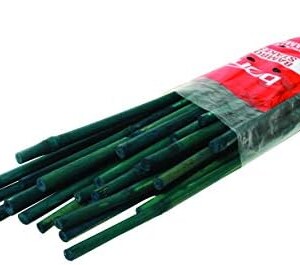 Bamboo Plant Stakes 25PK 3'