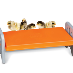 Thermo Poultry Brooder 13.5" (13 Chicks)