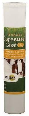 Copasure Goat 2g