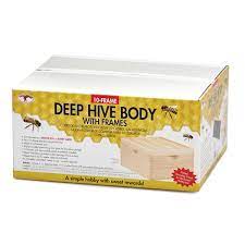 Deep Hive Body 10F