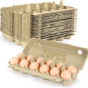 Egg Cartons 20PK REPACK