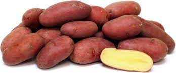 French Fingerling Potato