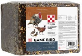 Gamebird Block 20#
