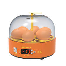 Incubator 6 Eggs