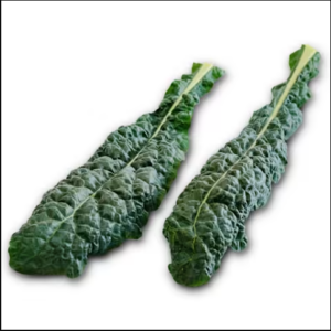 BCH KALE TOSCANA