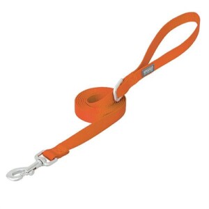 NYLON LEASH 6' OR