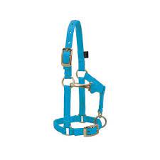 Mini Horse Halter