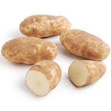 Russet Norkota Potato