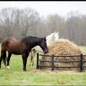 Poly Round Bale Feeder 8' X 32" HORSE