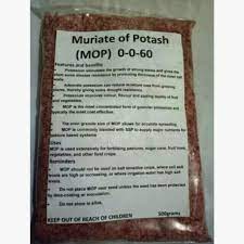Muriate of Potash 0-0-62 50#