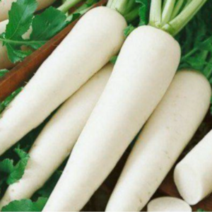 DENALI Radish White Icicle OG