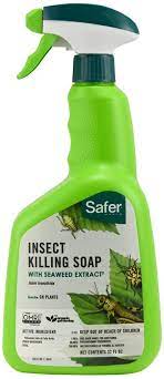 Safe Insect Kill Soap 32z