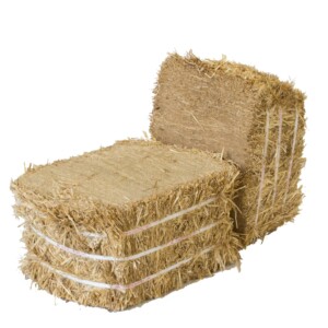 STRAW & SHAVINGS