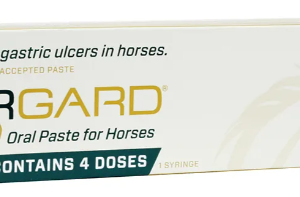 UlcerGard (Omeprazole) Paste 4 Dose