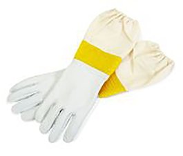 Vented Gloves MD