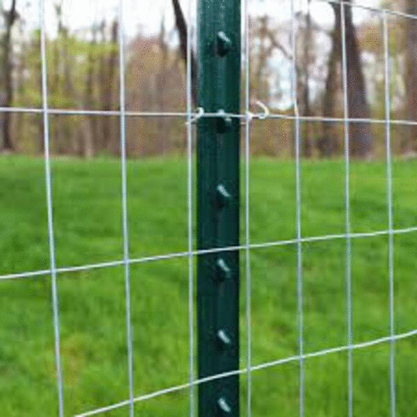 Weld Wire Fence 72"X50'